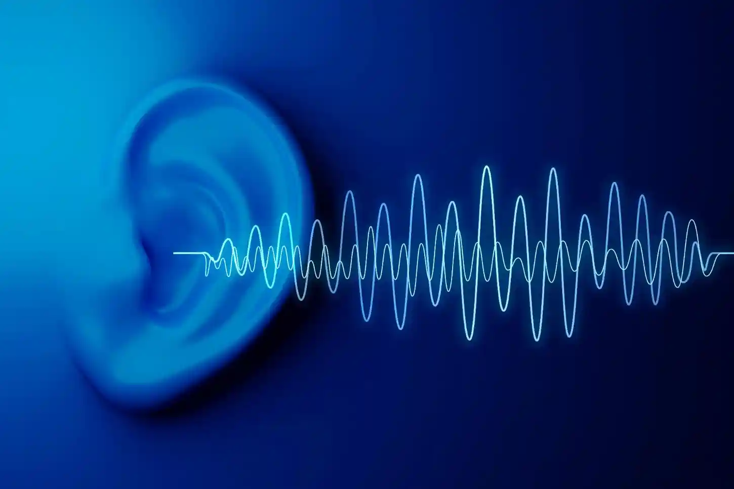 Awards & Recognition